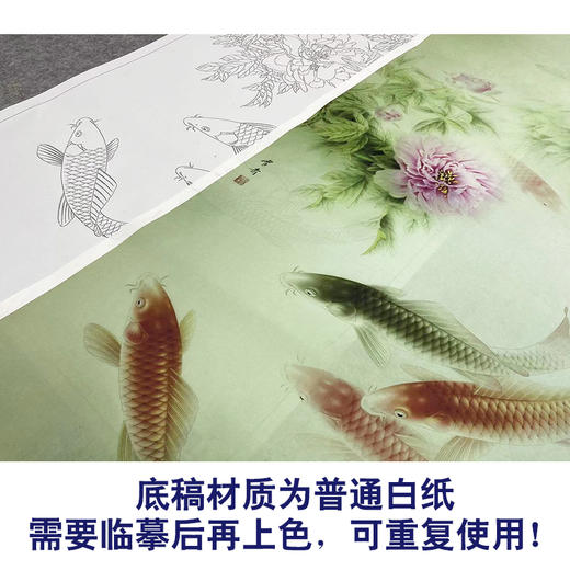 【大彩图】龚雪青工笔画白描底稿《牡丹鲤鱼》临摹勾线花鸟线稿XQ60 商品图3