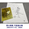 【大彩图】龚雪青工笔画白描底稿古典小品仙鹤临摹勾线花鸟线稿XQ46 商品缩略图1