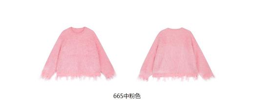 jnby  23年冬款  长袖套头毛衣  1NB312850 商品图14