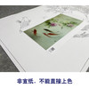 【大彩图】龚雪青工笔画白描底稿《牡丹鲤鱼》临摹勾线花鸟线稿XQ60 商品缩略图2