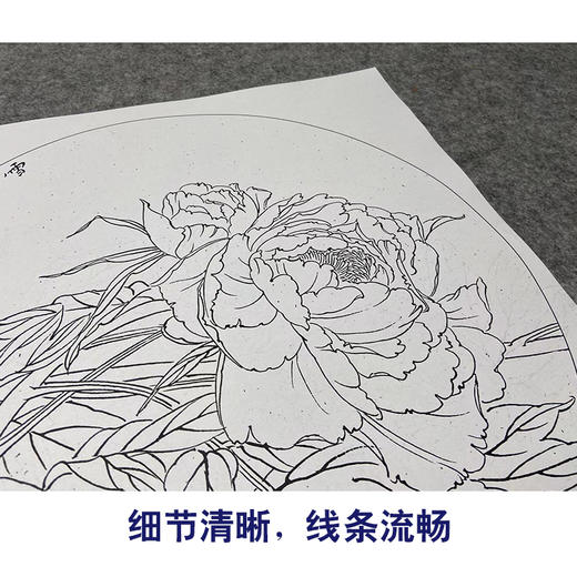 【大彩图】龚雪青工笔画白描底稿小品《牡丹》临摹勾线花鸟线稿XQ15 商品图4