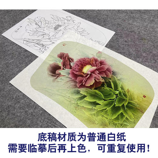 【大彩图】龚雪青工笔画白描底稿小品《牡丹》临摹勾线花鸟线稿XQ26 商品图3