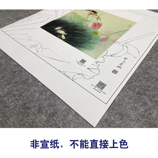 【大彩图】龚雪青工笔画白描底稿斗方小品《荷花绿鹭》临摹勾线花鸟线稿XQ22 商品图2