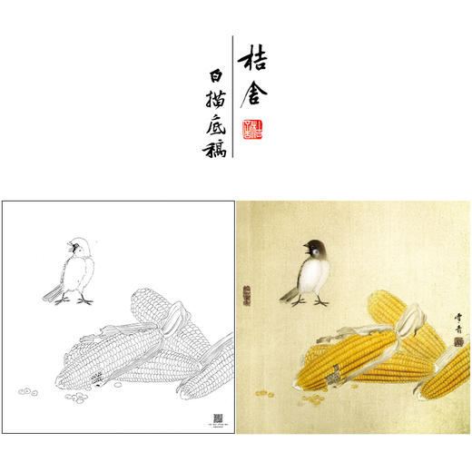 【大彩图】龚雪青工笔画白描底稿斗方小品《玉米小鸟》临摹勾线花鸟线稿XQ29 商品图0