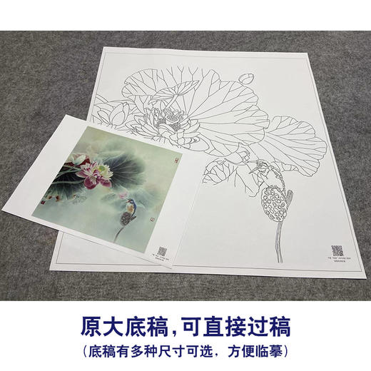【大彩图】龚雪青工笔画白描底稿斗方小品《荷花翠鸟》临摹勾线花鸟线稿XQ23 商品图1