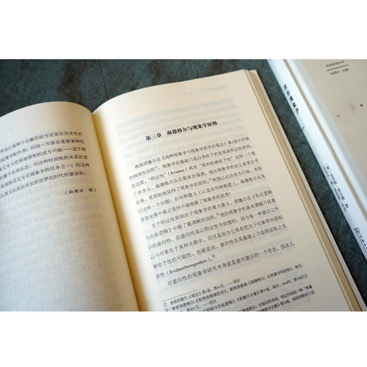 世界现象学(修订版)（未来哲学丛书） [德]克劳斯·黑尔德 著 孙周兴 编 倪梁康 等译 商务印书馆 商品图9