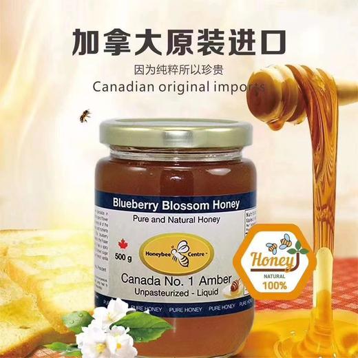 加拿大KALADA蓝莓花蜜500g/瓶 商品图0