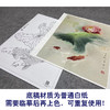 【大彩图】龚雪青工笔画白描底稿《锦上添花》荷花鲤鱼临摹勾线花鸟线稿XQ51 商品缩略图3