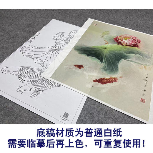 【大彩图】龚雪青工笔画白描底稿《锦上添花》荷花鲤鱼临摹勾线花鸟线稿XQ51 商品图3