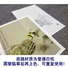【大彩图】龚雪青工笔画白描底稿南瓜小鸟临摹勾线花鸟线稿XQ55 商品缩略图3