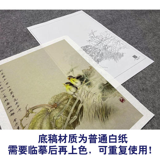 【大彩图】龚雪青工笔画白描底稿南瓜小鸟临摹勾线花鸟线稿XQ55 商品图3