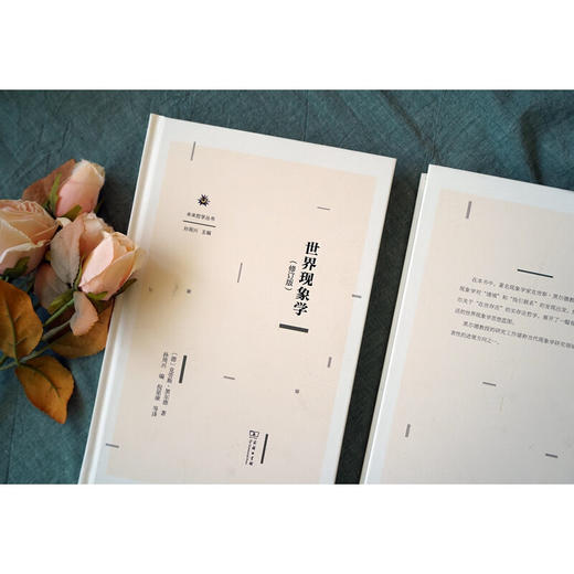 世界现象学(修订版)（未来哲学丛书） [德]克劳斯·黑尔德 著 孙周兴 编 倪梁康 等译 商务印书馆 商品图2