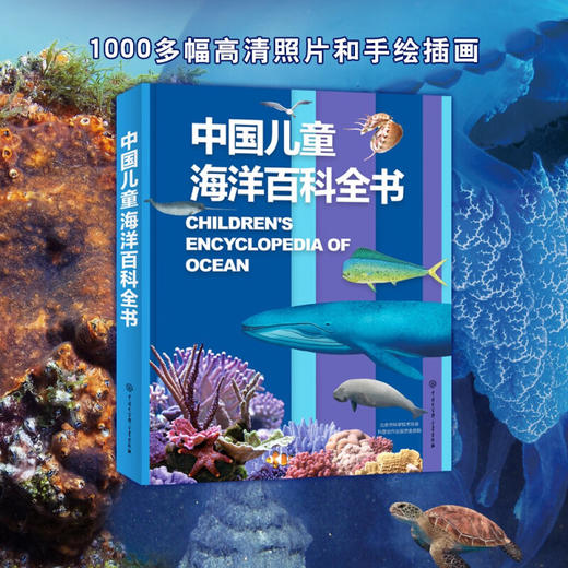 中国儿童海洋百科全书 7-14岁 《中国儿童海洋百科全书》编委会 著 科普百科 商品图1