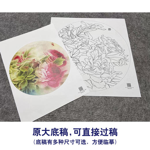 【大彩图】龚雪青工笔画白描底稿小品《晨曦》牡丹临摹勾线花鸟线稿XQ14 商品图1