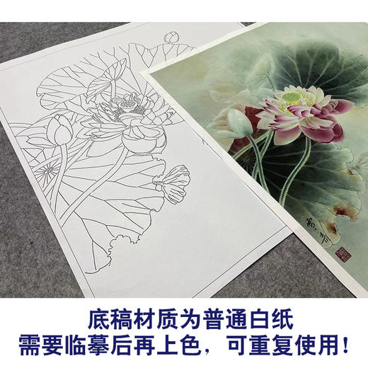 【大彩图】龚雪青工笔画白描底稿斗方小品《荷花翠鸟》临摹勾线花鸟线稿XQ23 商品图3