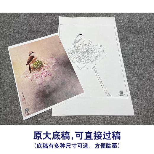 【大彩图】龚雪青工笔画白描底稿《独愁不惜花》荷花临摹勾线花鸟线稿XQ48 商品图1
