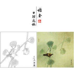 【大彩图】龚雪青工笔画白描底稿斗方小品《清露》莲蓬临摹勾线花鸟线稿XQ25