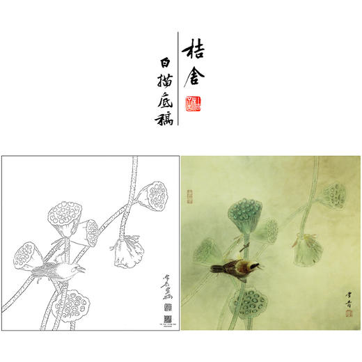 【大彩图】龚雪青工笔画白描底稿斗方小品《清露》莲蓬临摹勾线花鸟线稿XQ25 商品图0