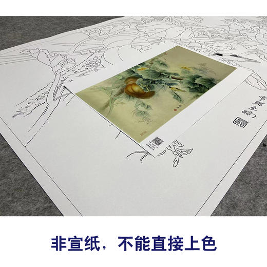 【大彩图】龚雪青工笔画白描底稿《乡间瓜趣》南瓜临摹勾线花鸟线稿XQ59 商品图2