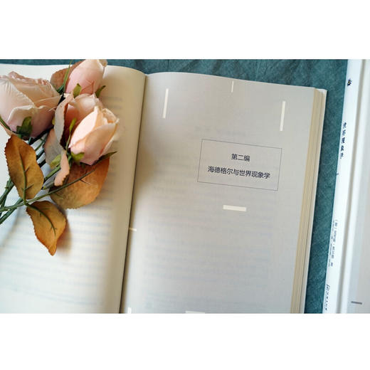 世界现象学(修订版)（未来哲学丛书） [德]克劳斯·黑尔德 著 孙周兴 编 倪梁康 等译 商务印书馆 商品图8