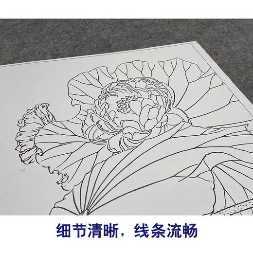 【大彩图】龚雪青工笔画白描底稿《锦上添花》荷花鲤鱼临摹勾线花鸟线稿XQ51 商品图4