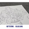 【大彩图】龚雪青工笔画白描底稿小品《博古荷花图》花瓶临摹勾线花鸟线稿XQ73 商品缩略图4