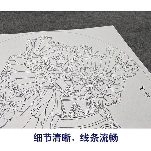 【大彩图】龚雪青工笔画白描底稿小品《博古荷花图》花瓶临摹勾线花鸟线稿XQ73 商品图4