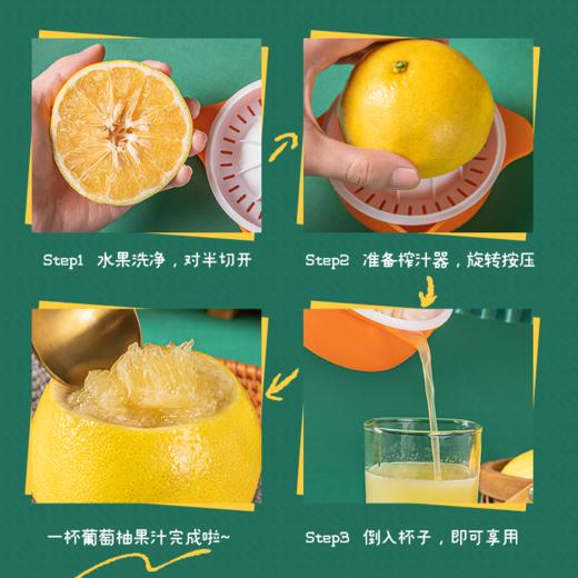 新鲜水果 福建 蜂蜜葡萄柚子3枚 （共2-2.5斤左右） 商品图2