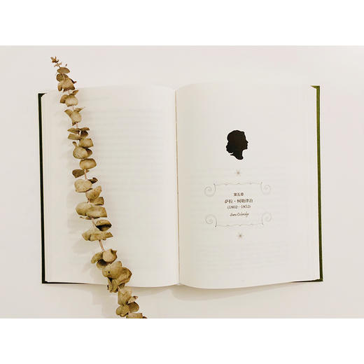 不只是简·奥斯汀：重现改变英国文学的七位传奇女作家（美）谢莉·德威斯 著 商品图5