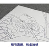 【大彩图】龚雪青工笔画白描底稿《翠鸟荷花》临摹勾线花鸟线稿XQ49 商品缩略图4
