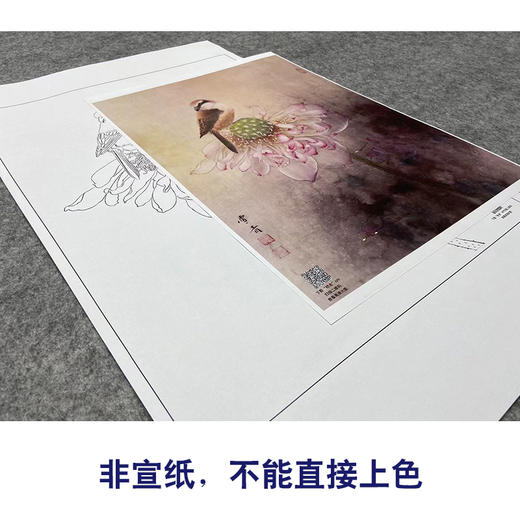 【大彩图】龚雪青工笔画白描底稿《独愁不惜花》荷花临摹勾线花鸟线稿XQ48 商品图2