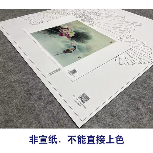 【大彩图】龚雪青工笔画白描底稿斗方小品《荷花翠鸟》临摹勾线花鸟线稿XQ23 商品图2