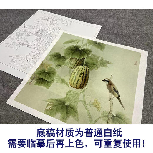 【大彩图】龚雪青工笔画白描底稿斗方小品《瓜园》西瓜临摹勾线花鸟线稿XQ47 商品图3