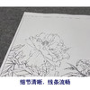 【大彩图】龚雪青工笔画白描底稿《新雨后》牡丹临摹勾线花鸟线稿XQ53 商品缩略图4