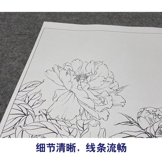 【大彩图】龚雪青工笔画白描底稿《新雨后》牡丹临摹勾线花鸟线稿XQ53 商品图4