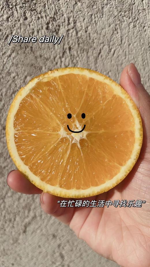 江西赣州脐橙当季水果多汁现摘现发农家橙子10斤包邮 商品图2