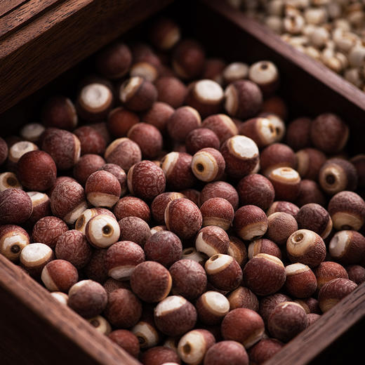 候物 肇庆芡实鸡头米 500g/袋 商品图1