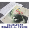 【大彩图】龚雪青工笔画白描底稿《翠鸟荷花》临摹勾线花鸟线稿XQ49 商品缩略图3
