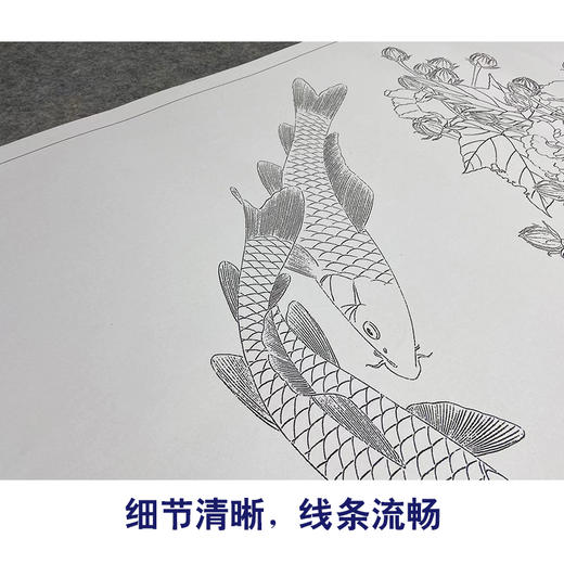 【大彩图】龚雪青工笔画白描底稿《荣华富贵》芙蓉鱼临摹勾线花鸟线稿XQ61 商品图4