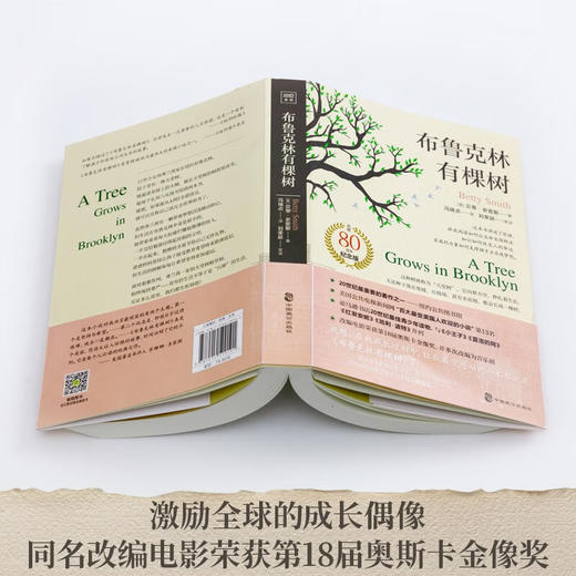 布鲁克林有棵树（美）贝蒂·史密斯 著 商品图4