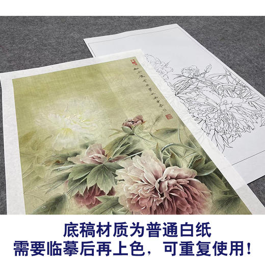 【大彩图】龚雪青工笔画白描底稿《新雨后》牡丹临摹勾线花鸟线稿XQ53 商品图3