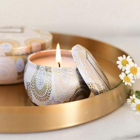 VOLUSPA 山茶小装饰罐香薰蜡烛-113g