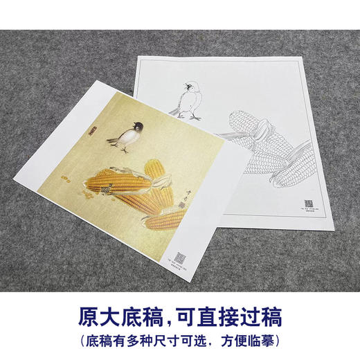 【大彩图】龚雪青工笔画白描底稿斗方小品《玉米小鸟》临摹勾线花鸟线稿XQ29 商品图1