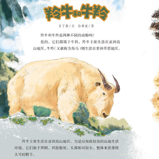 《小学生导刊》美绘/探索/作文  12期征订 商品图10