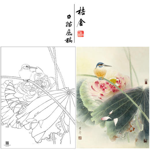 【大彩图】龚雪青工笔画白描底稿《翠鸟荷花》临摹勾线花鸟线稿XQ49 商品图0