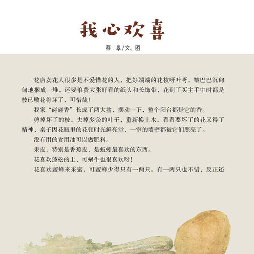 《小学生导刊》美绘/探索/作文  12期征订 商品图13