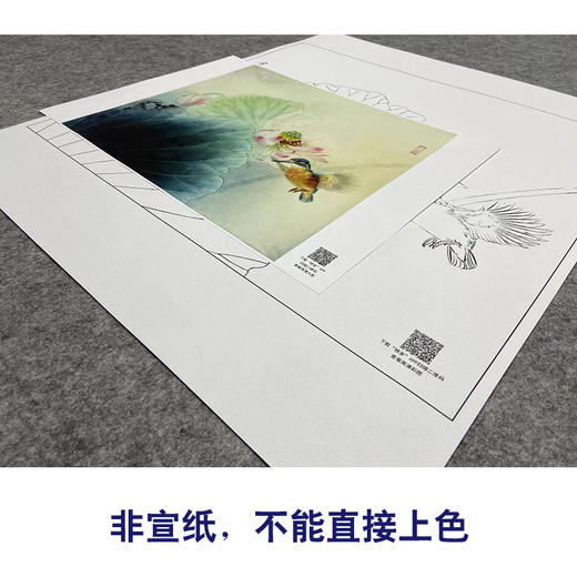 【大彩图】龚雪青工笔画白描底稿斗方小品《荷花翠鸟》临摹勾线花鸟线稿XQ24 商品图2