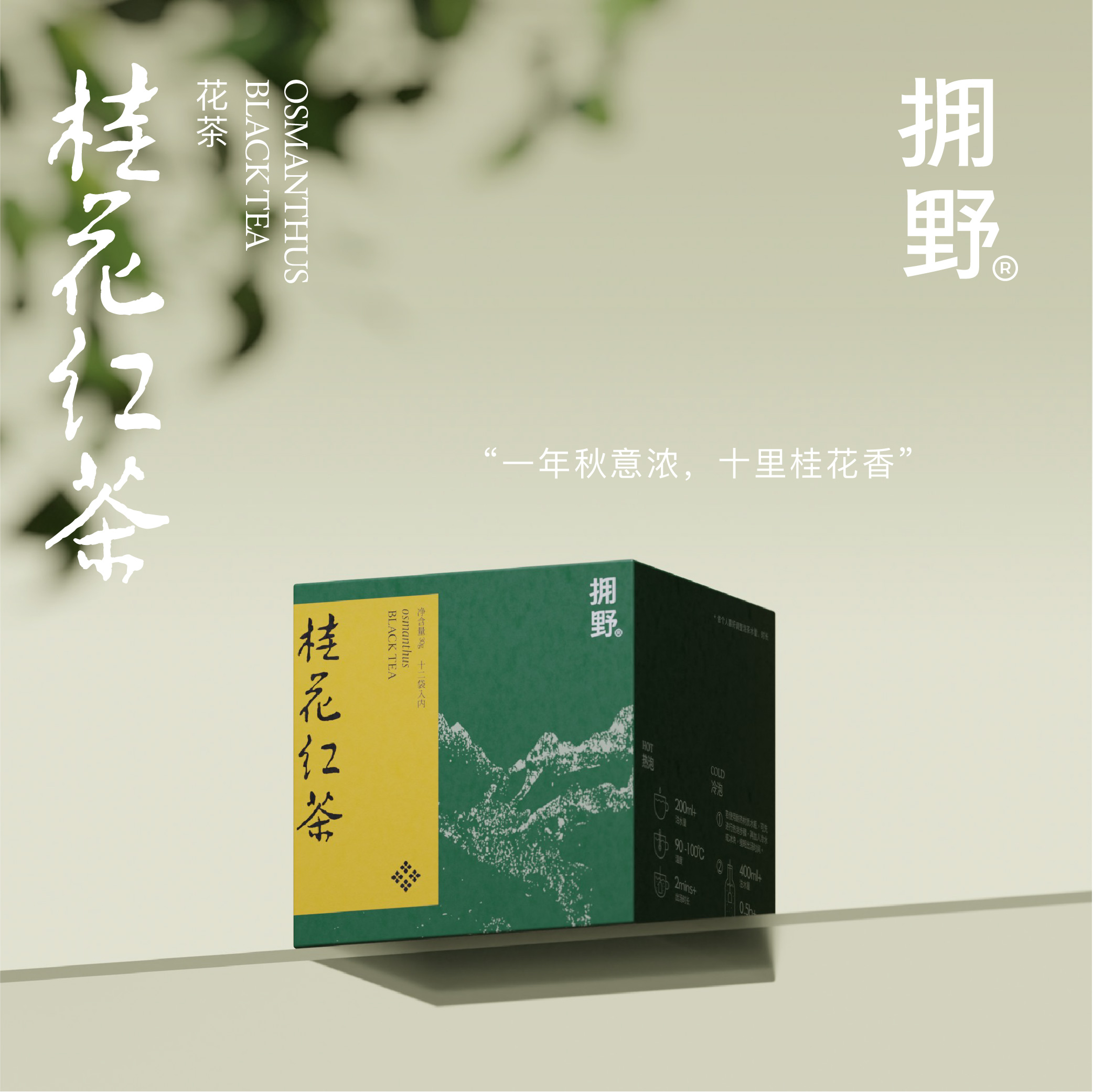 拥野·桂花红茶 三角袋泡茶 2.5g*12袋/盒