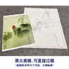 【大彩图】龚雪青工笔画白描底稿小品《南瓜鹦鹉》临摹勾线花鸟线稿XQ65 商品缩略图1