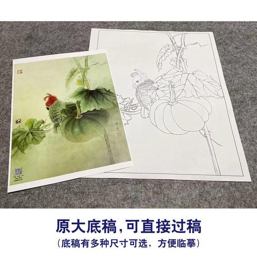 【大彩图】龚雪青工笔画白描底稿小品《南瓜鹦鹉》临摹勾线花鸟线稿XQ65 商品图1